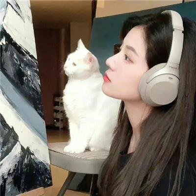 猫狗武林